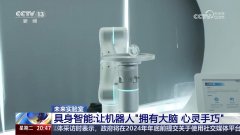 <b>我们只需要给机械人一段文字、语音或者动做等</b>